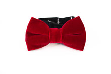 Load image into Gallery viewer, red velvet bow tie