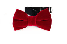 Load image into Gallery viewer, red velvet bow tie