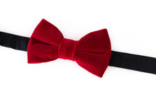 Load image into Gallery viewer, red velvet bow tie