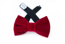 Load image into Gallery viewer, red velvet bow tie