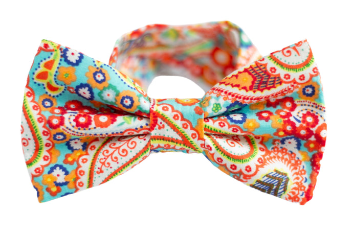 paisley bow tie